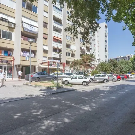 Apartment Maestro Metallic *